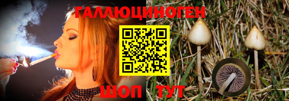 Галлюциногенные грибы Cubensis  Галлюциногенные грибы GOLDEN TEACHER  Хабаровск  Вход с VPN 